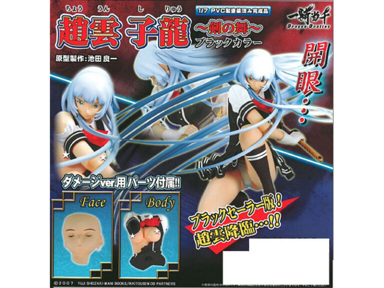 一騎当千DD 趙雲子龍 剣の舞 ブラックカラー