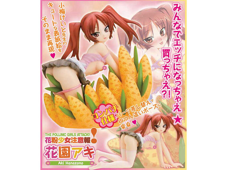 花粉少女注意報！ 花園アキ